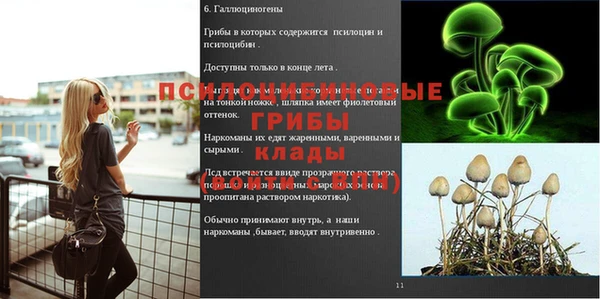 дмт Аркадак