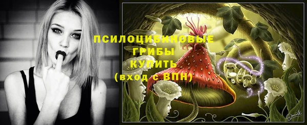 прущий лед Арсеньев