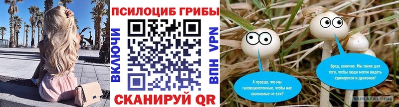 Псилоцибиновые грибы Cubensis  Всеволожск 